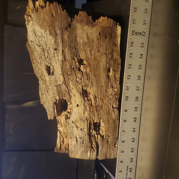Very cool large holey wood piece for Terrarium, decor, art, crafts etc! - Picture 7 of 8
